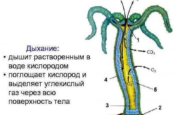 Mega market зеркала